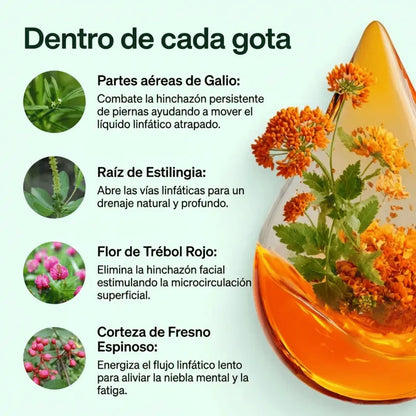 Gotas VELIA® – Drenaje Linfático Natural